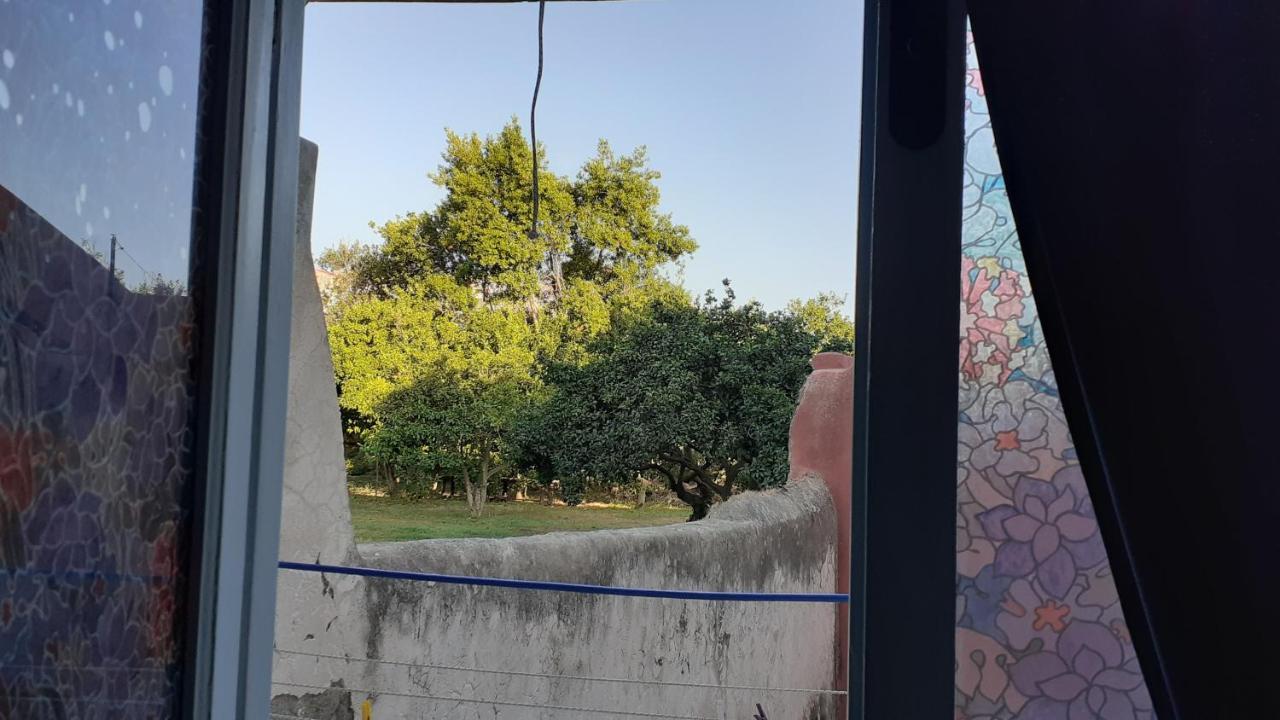 La Graziella Monolocale Procidano Villa Eksteriør billede